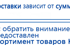 СКЭНАР-1-НТ (исполнение 02.1) Скэнар Про Плюс купить в Братске, Аппараты Скэнар купить в Братске, Скэнар официальный сайт - denasvertebra.ru
