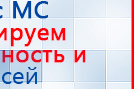 Аппарат магнитотерапии АМТ «Вега Плюс» купить в Братске, Аппараты Меркурий купить в Братске, Скэнар официальный сайт - denasvertebra.ru